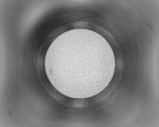 X0000110730761200907241227