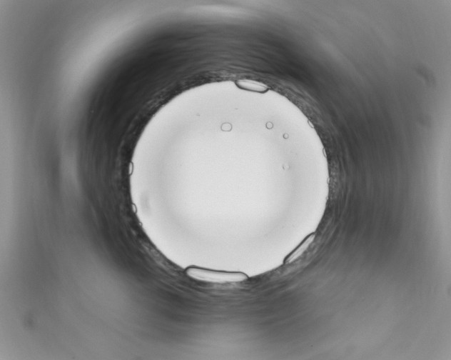 X0000110730762200907241227