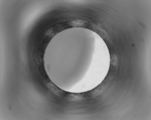 X0000110730763200907241227