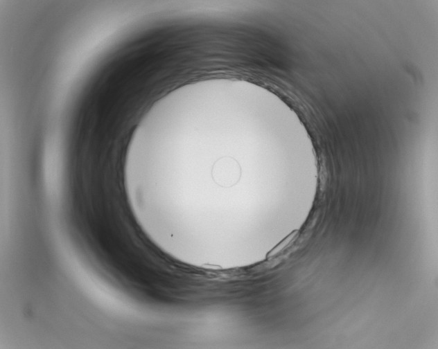 X0000110730764200907241227