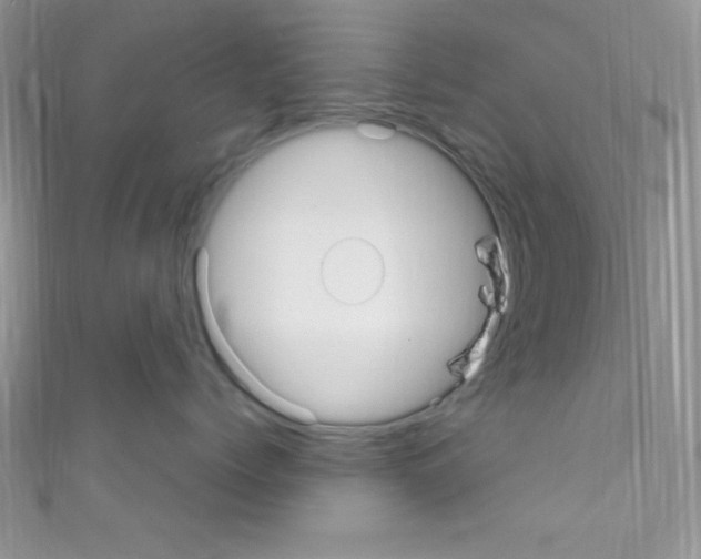 X0000110730768200907241227