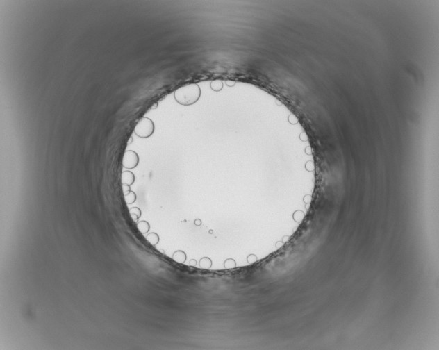 X0000110730769200907241227