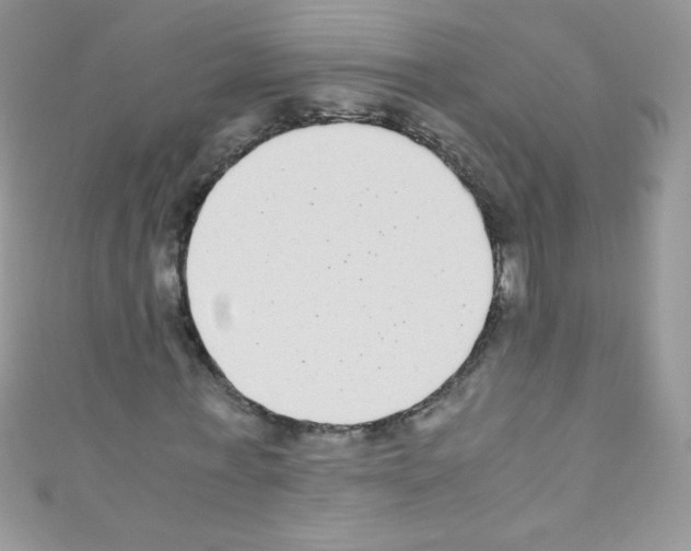 X0000110730771200907241227