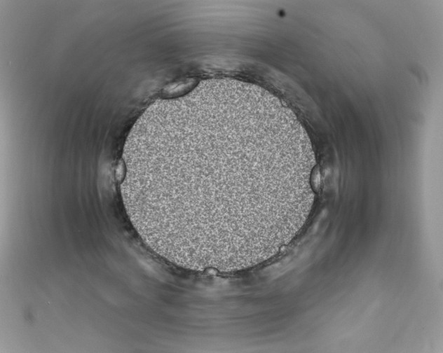 X0000110730772200907241226