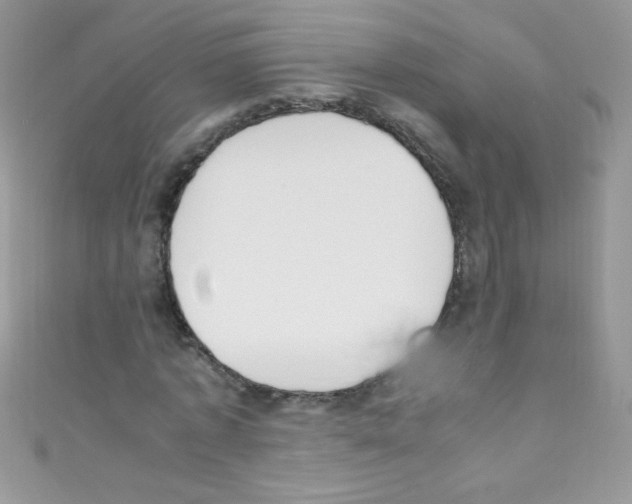 X0000110730773200907241226