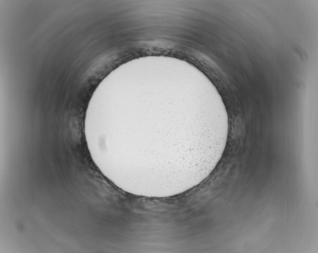 X0000110730774200907241226