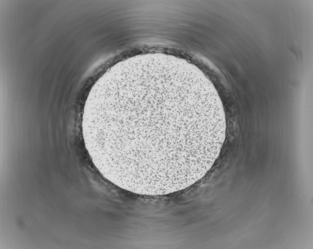 X0000110730775200907241226