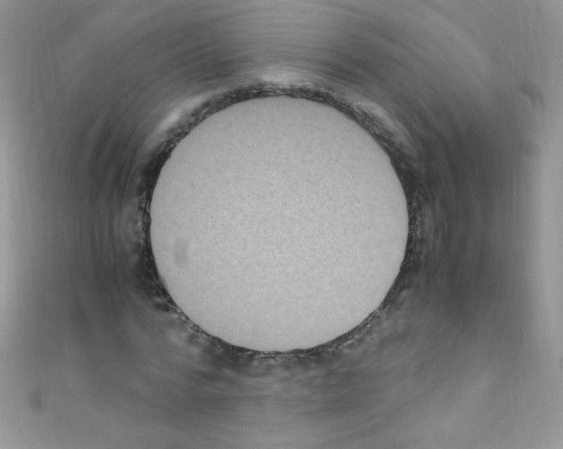 X0000110730776200907241226