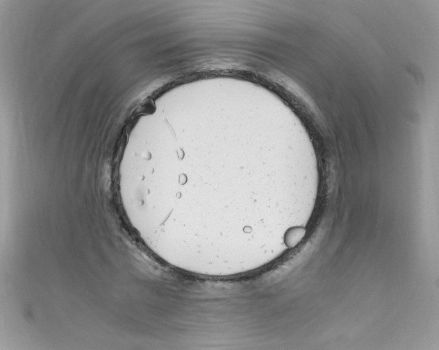 X0000110730777200907241226