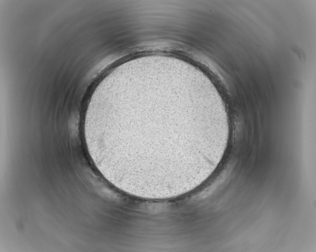 X0000110730778200907241226