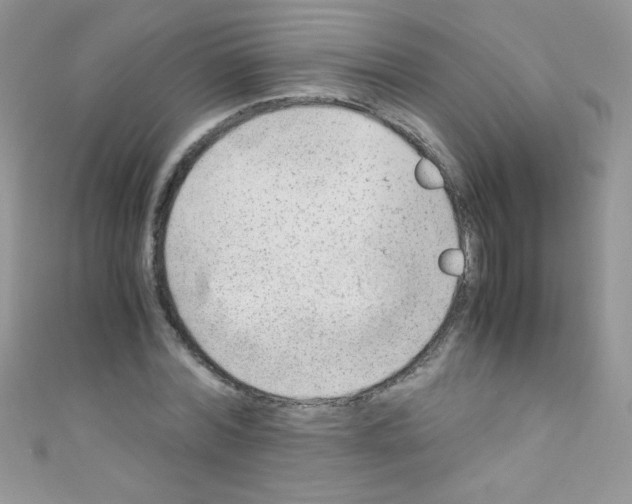 X0000110730780200907241226