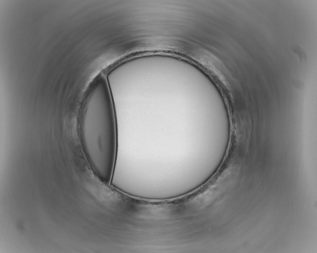 X0000110730781200907241226