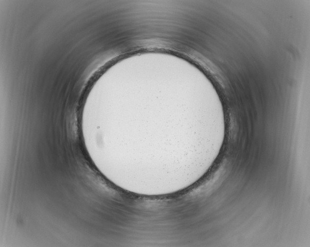 X0000110730782200907241226