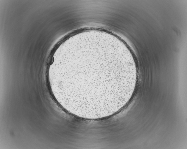 X0000110730783200907241226