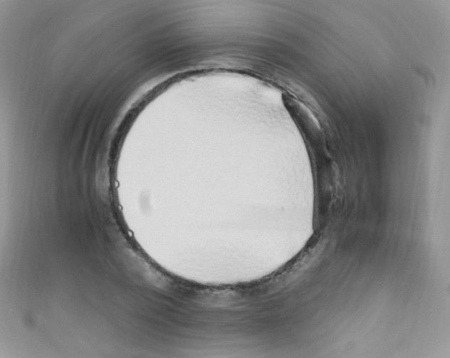 X0000110730784200907241226