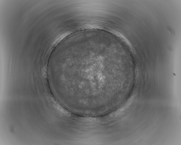 X0000110730785200907241226