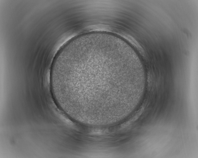X0000110730790200907241226