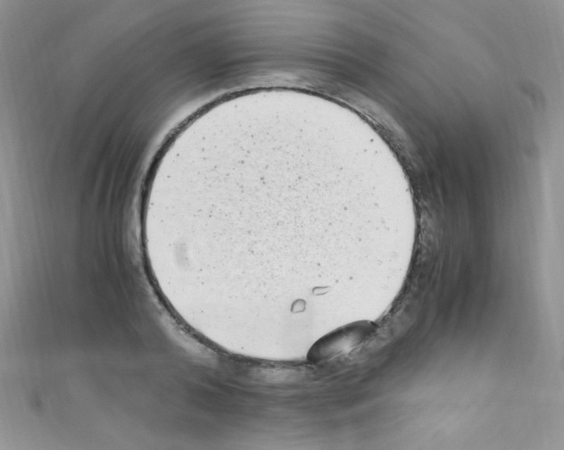 X0000110730792200907241226