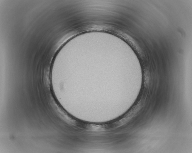 X0000110730794200907241226