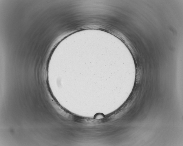 X0000110730795200907241226