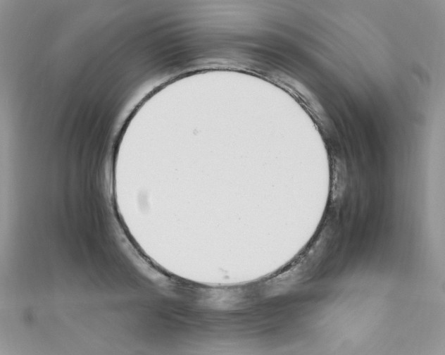 X0000110730796200907241226
