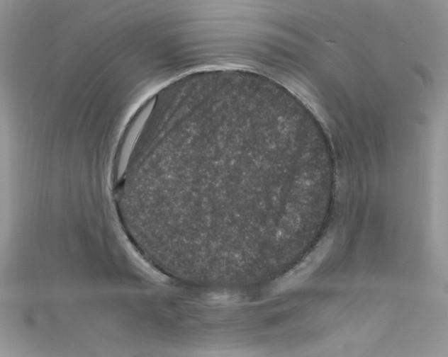 X0000110730797200907241226