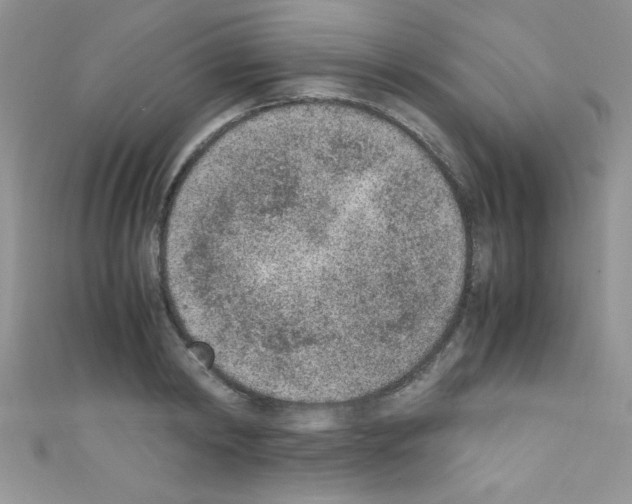 X0000110730798200907241226