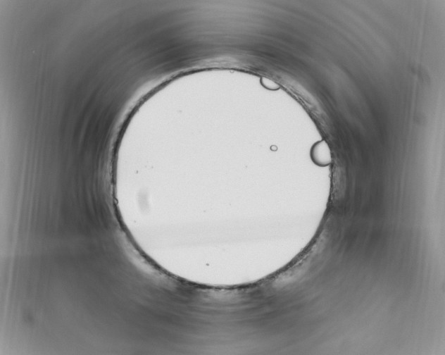 X0000110730800200907241226