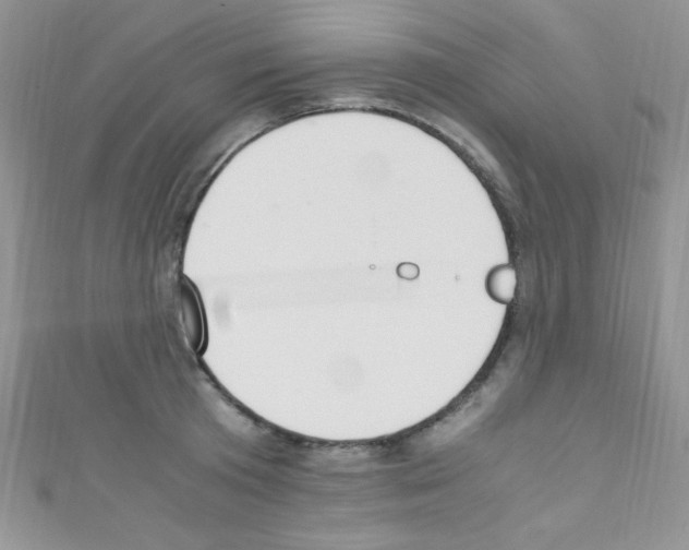 X0000110730801200907241226