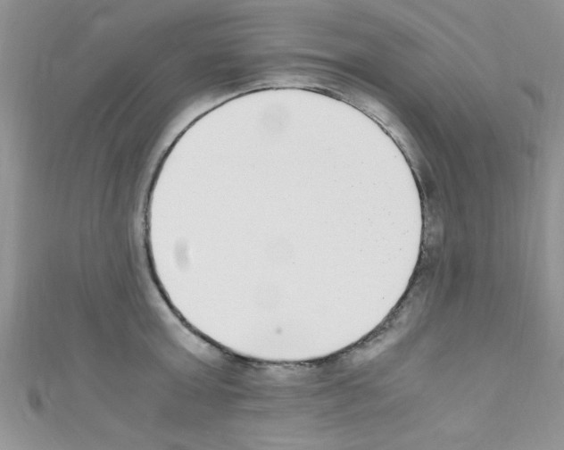 X0000110730803200907241226