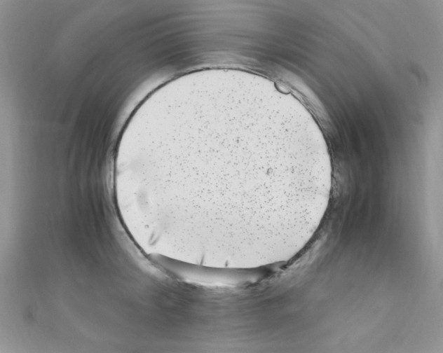 X0000110730804200907241226