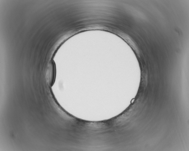X0000110730805200907241226