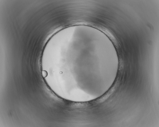 X0000110730806200907241226