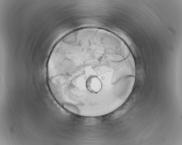 X0000110730807200907241226