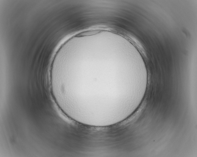 X0000110730808200907241226