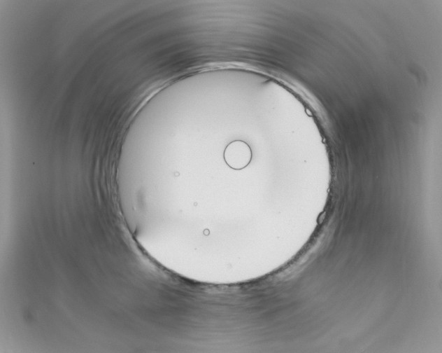 X0000110730809200907241226