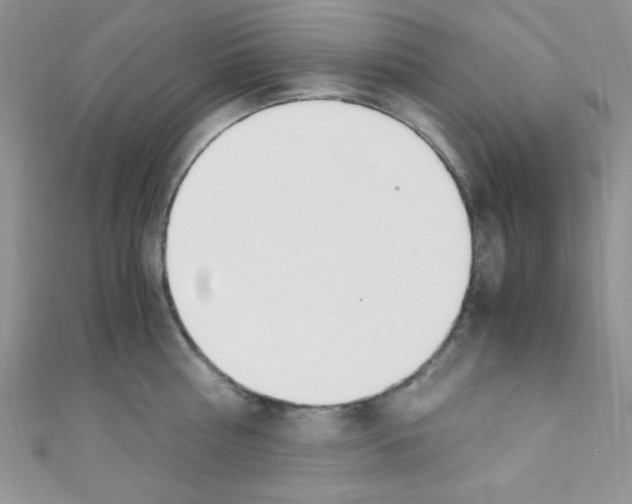 X0000110730810200907241226