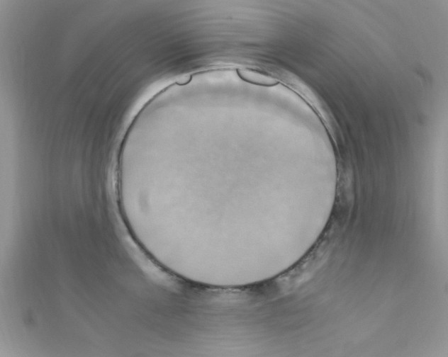 X0000110730811200907241226