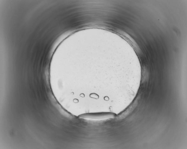 X0000110730812200907241226