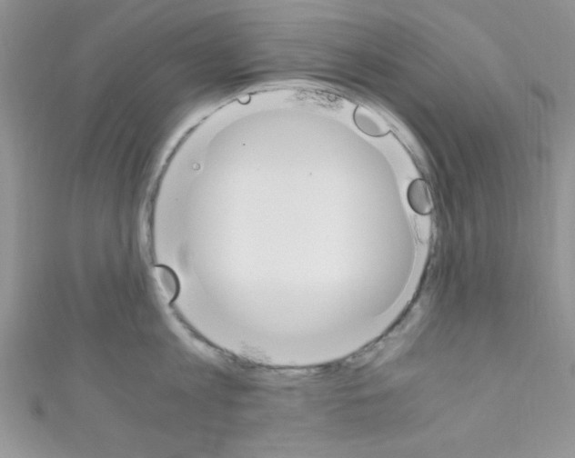 X0000110730813200907241226