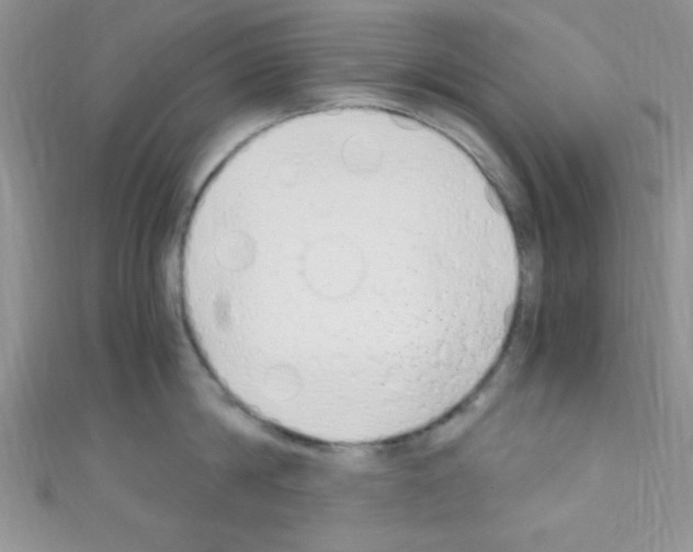 X0000110730814200907241226
