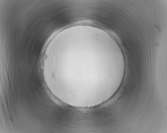 X0000110730816200907241226