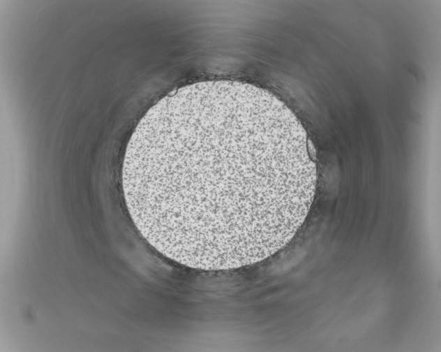 X0000110730817200907241225