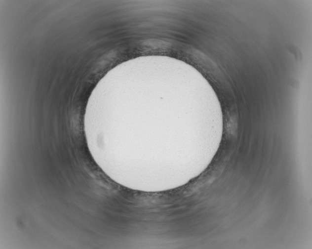X0000110730819200907241225