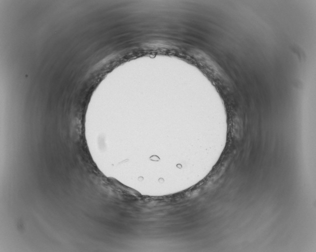 X0000110730821200907241225