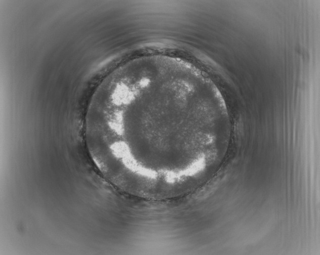 X0000110730822200907241225