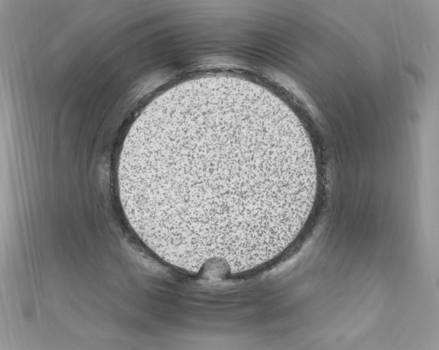 X0000110730825200907241225