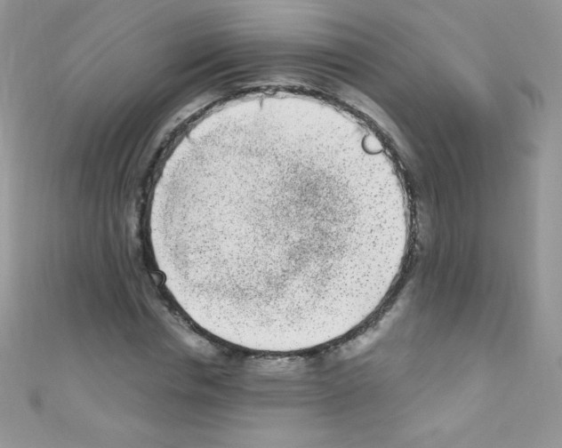 X0000110730826200907241225