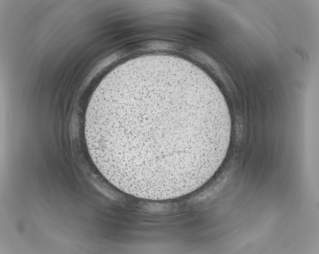 X0000110730827200907241225
