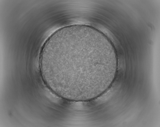 X0000110730828200907241225
